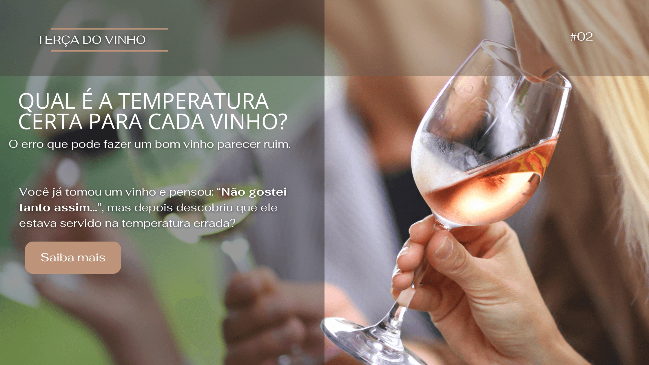 TERÇA DO VINHO #02 - Qual é a temperatura certa para cada vinho?