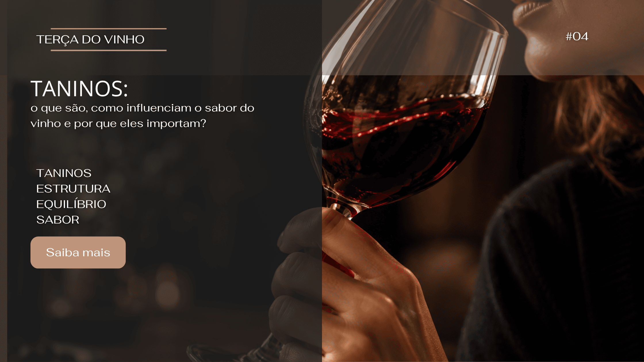 TERÇA DO VINHO #04 - TANINOS