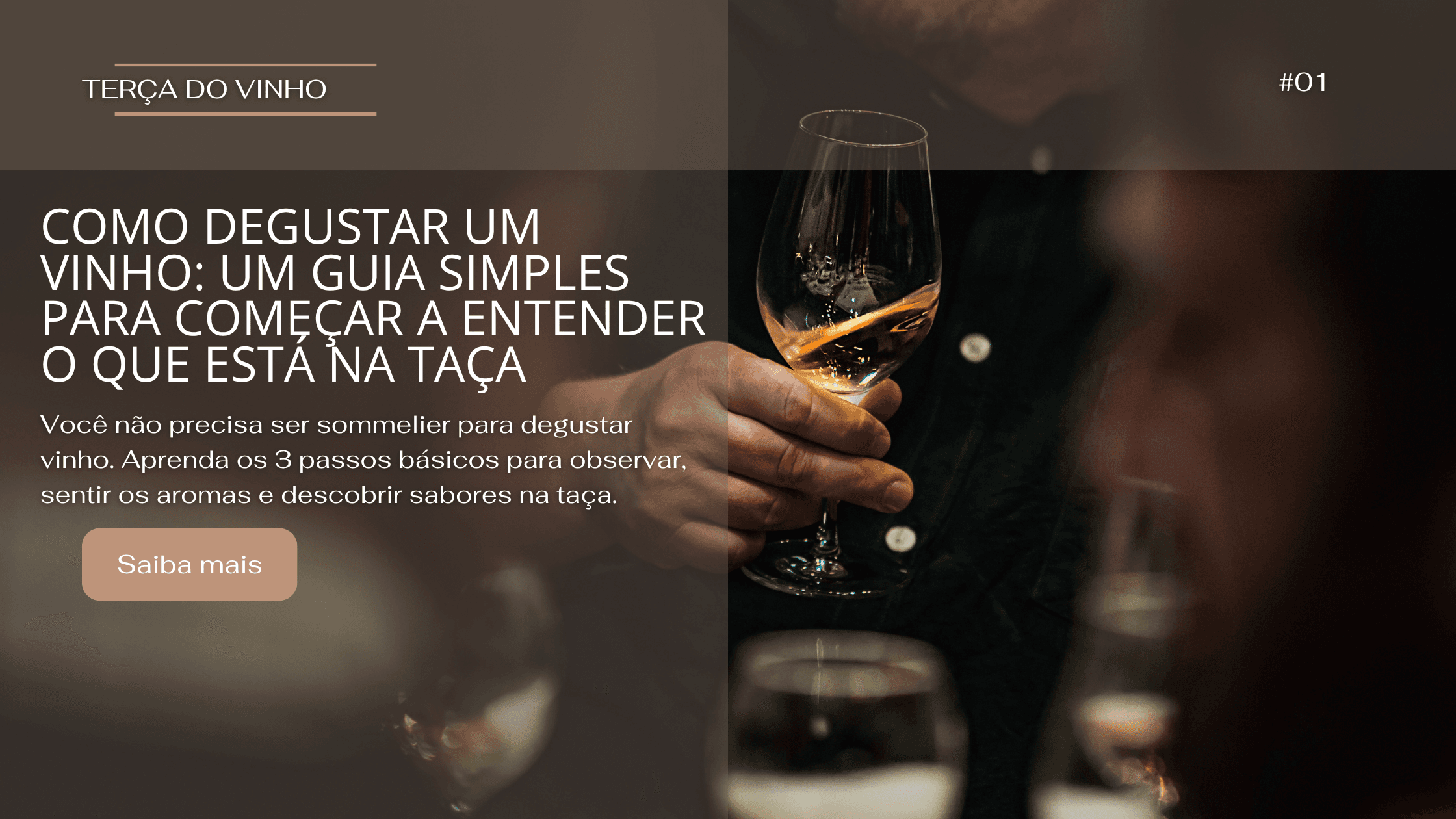 TERÇA DO VINHO #01  -  Como degustar um vinho: o guia para começar